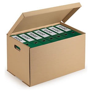 Karton archiwizacyjny 440x340x300 