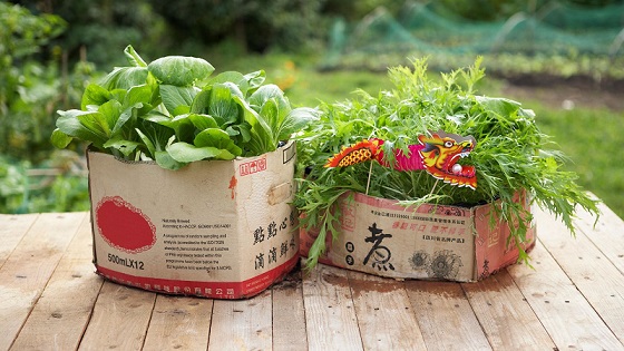 Kartony na artykuły ogrodnicze - Opakowaniowy Ogród